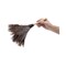 Boardwalk 6 in. Wood Handle Professional Ostrich Feather Duster